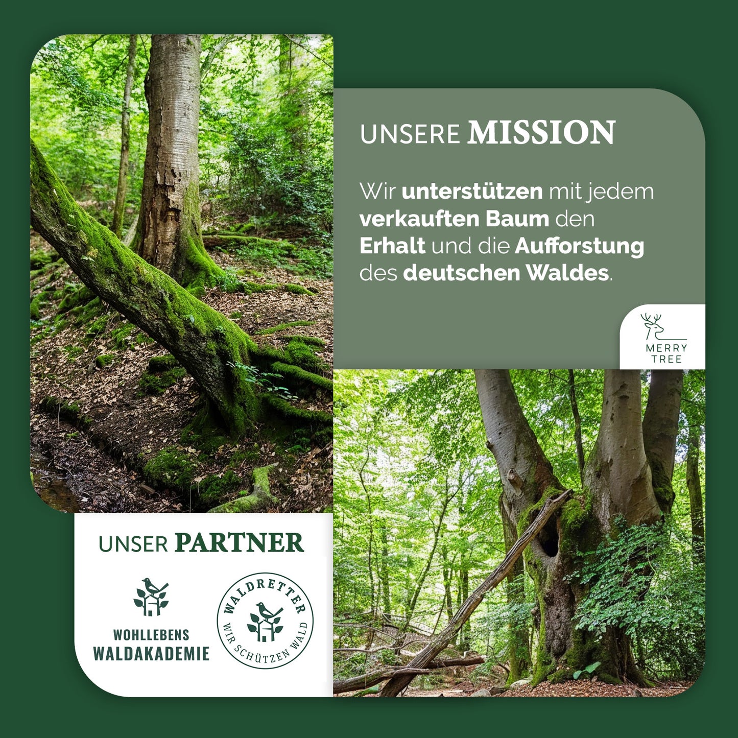 Weihnachtsbaum Saellskap Premium